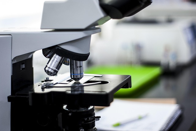 lab, experiment, test, chemistry, microscope, lab, lab, lab, lab, lab, microscope, microscope, microscope